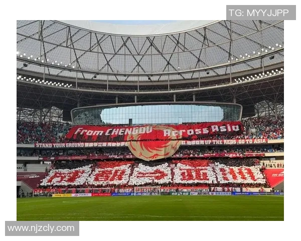 成都足球队的节奏解析与未来发展展望