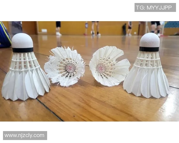 羽毛球战术新高度北京羽毛球队创新战术引领潮流