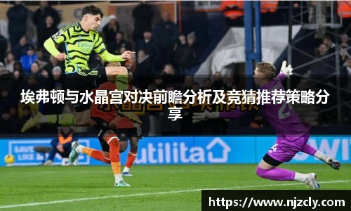 埃弗顿与水晶宫对决前瞻分析及竞猜推荐策略分享